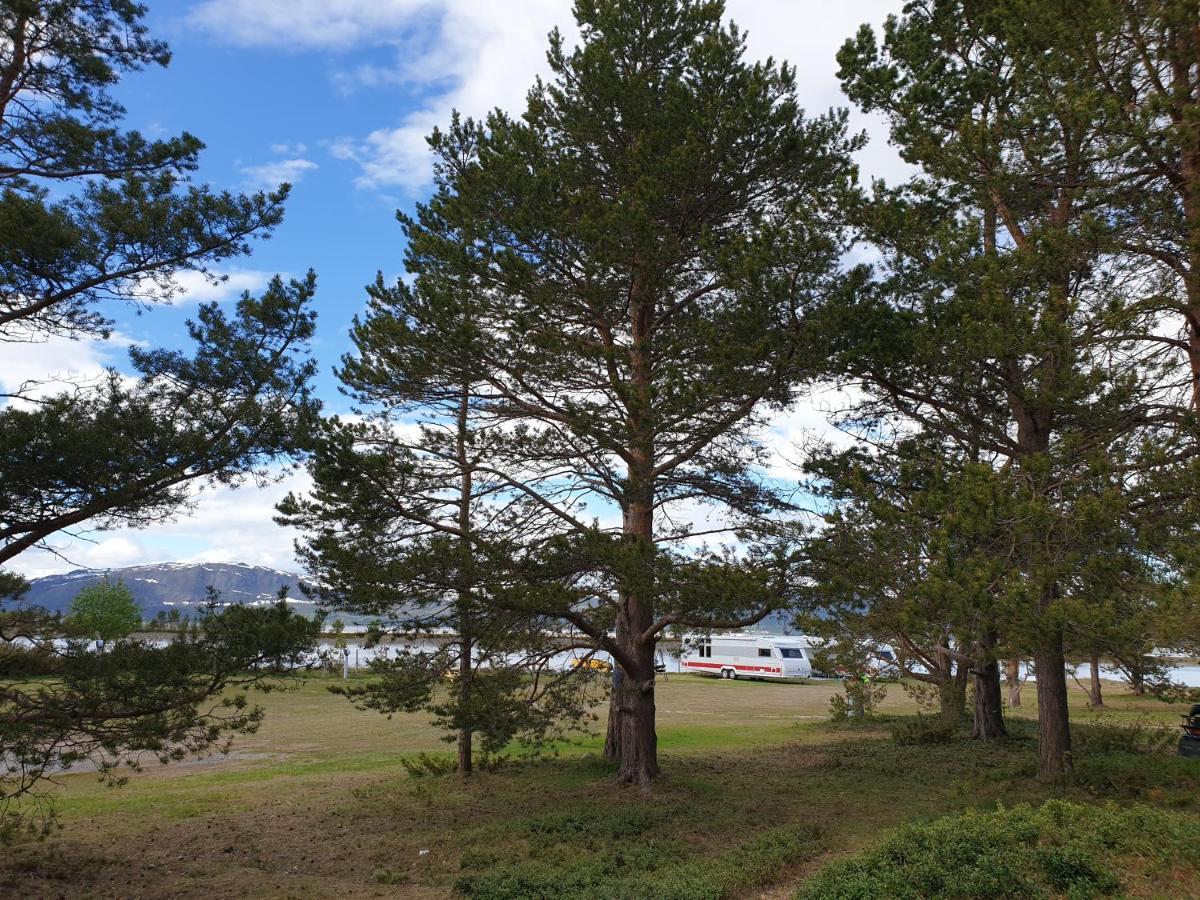 Solvang Camping Og Leirsted アルタ エクステリア 写真